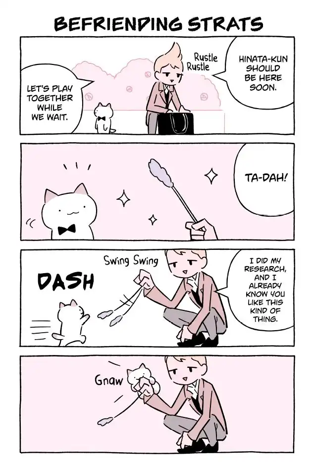 Wonder Cat Kyuu-chan Chapter 589 1